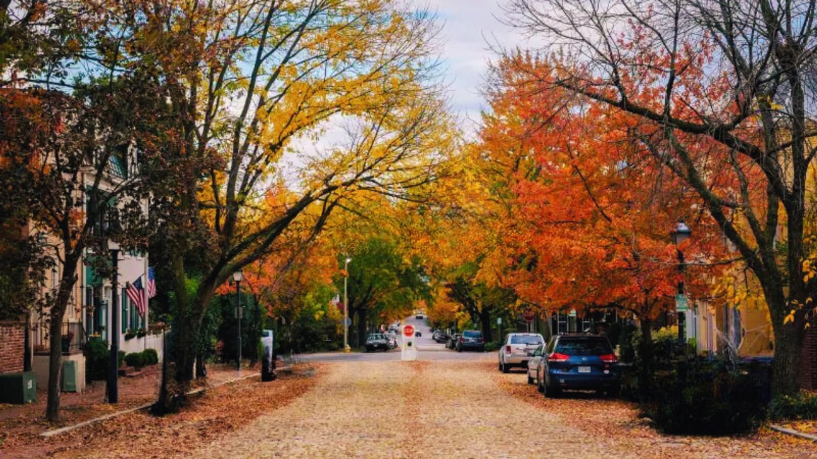 Best Fall Activities in Old Town Alexandria | Guide